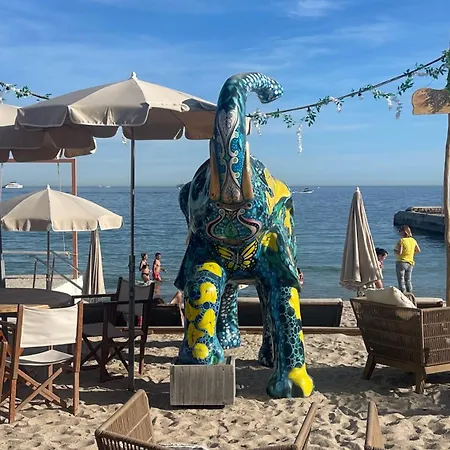 Appartement Vue - Terrasse - Parking -